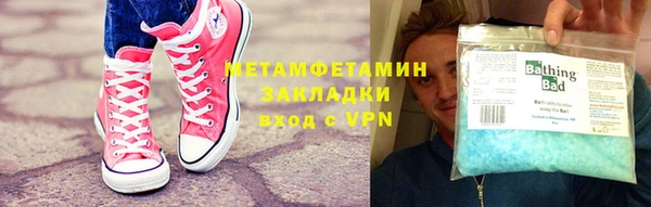 индика Няндома