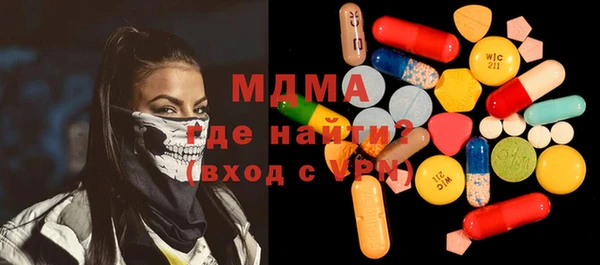 индика Няндома