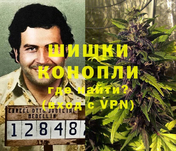 индика Няндома