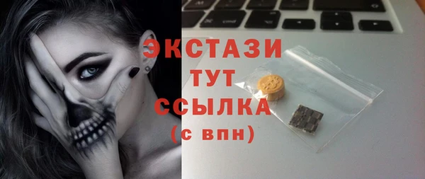 индика Осташков