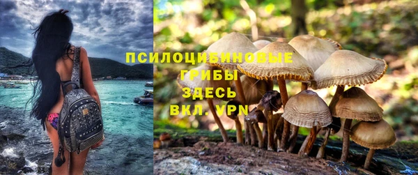 амф Армянск