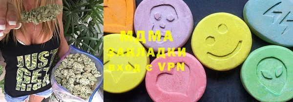 индика Няндома