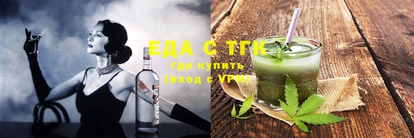 индика Няндома